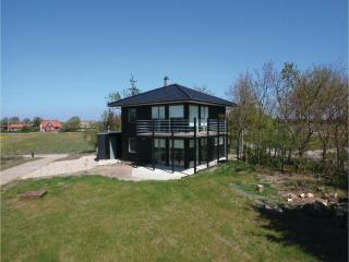 Holiday Home Sivkrogen Skjern X - 5