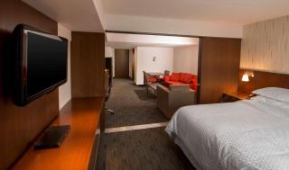 Lakeview Signature, Trademark Collection by Wyndham - Winnipeg - 4