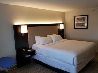 Holiday Inn Express Birch Run-Frankenmuth Area by IHG - Birch Run - 1