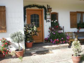 Bichlhof Riedenberg - Thiersee - 1