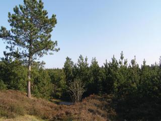 Holiday Home Narssagsvej - Bolilmark - 3