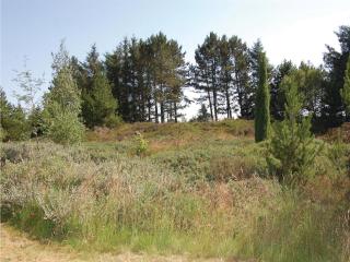 Holiday Home Romo Lxx - Toftum - 8