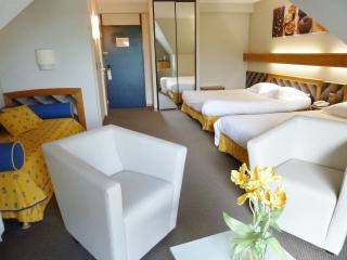 Best Western Le Relais de Laguiole Hôtel & Spa - 8