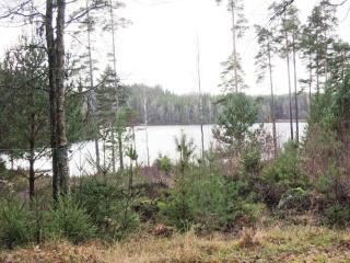 Rådjuret - Fegen - 5