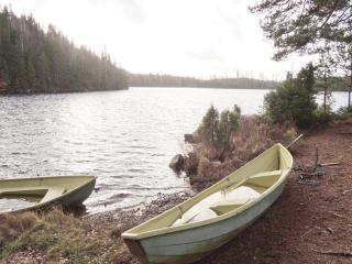 Rådjuret - Fegen - 3