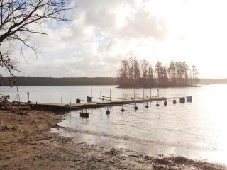 Rådjuret - Fegen - 2