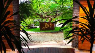 Long Beach - Canoa Quebrada - 6