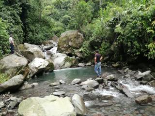 Guayabo Lodge - Santa Cruz - 8