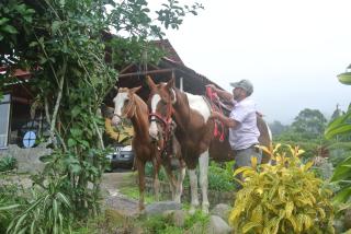 Guayabo Lodge - Santa Cruz - 1