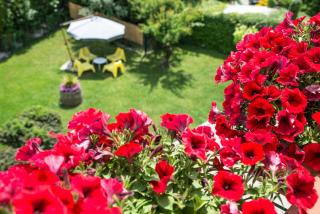 B&B Il Girasole - Agropoli - 4