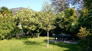 Casa Mariarosa - Maccagno Inferiore - 8