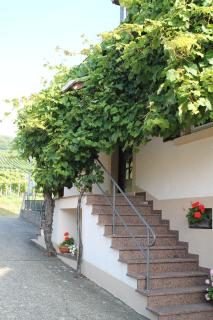 No. 73 - Idylle im Rebenmeer - Pleisweiler-Oberhofen - 5
