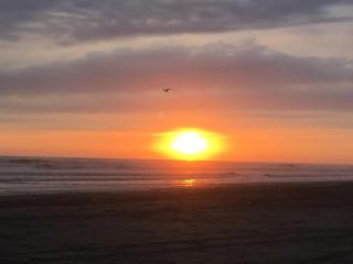 La Casa del Jota - 4