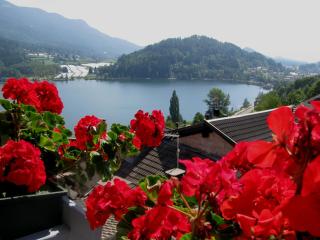appartamento Dossalt vista lago Serraia a 20 minuti da Trento, wifi e parcheggio gratuiti - Baselga di Pinè - 0