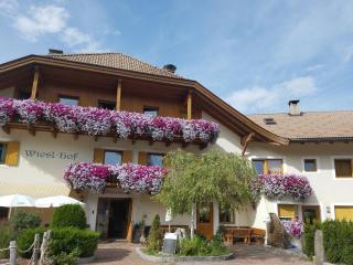 Hotel Wieslhof - Collepietra - 8