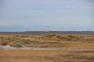 Deichblick - Sankt Peter-Ording - 1