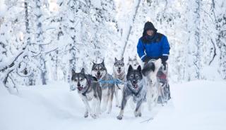 Wilderness Hotel Inari & Igloos - 9