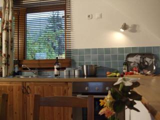 Oak Tree Apartment - Tölgy Lak - Pilisszentkereszt - 1