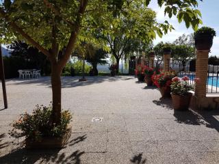 Alojamiento Macarena - 5