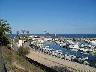 APARTAMENTO "Margarita" Cabo Roig - Cabo Roig - 5