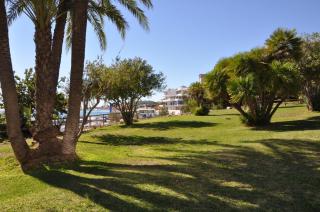 APARTAMENTO "Margarita" Cabo Roig - 3