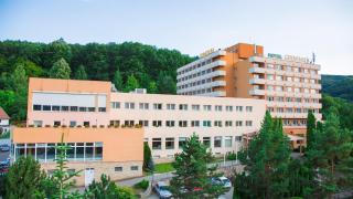 Hotel Germisara - Geoagiu Băi - 8