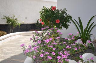 Alsol Las Orquídeas - Playa del Inglés - 5