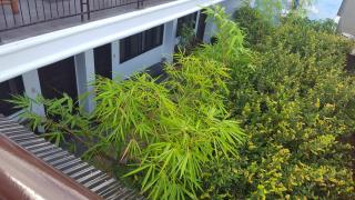 Residencia Lourdes - Mactan - 3