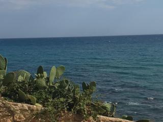 Residence La Caletta - 8
