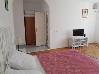 Luk Old Town Apartment - Sibiu - 4