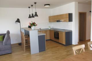 Scandic apartmany - Veľký Meder - 9