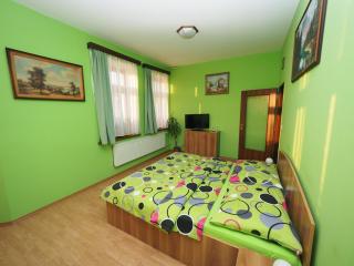 Penzion U Krejzů - Dolní Poustevna - 1