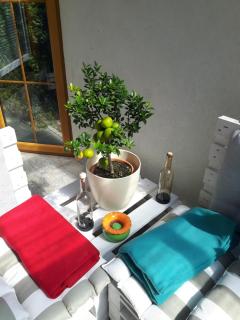Haus Elisabeth - Napplach - 6