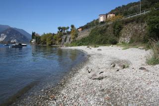 Nina & Berto - Verbania - 4