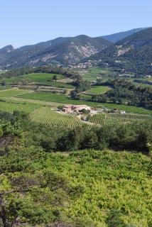 Domaine de Provensol - Venterol - 8