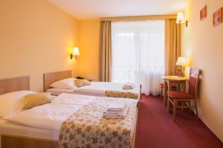 Ski Hotel - Piwniczna-Zdrój - 7
