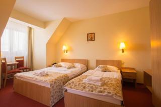 Ski Hotel - Piwniczna-Zdrój - 5