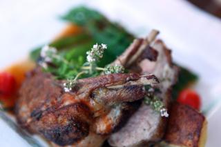 Hotel Restaurant Le Gardon - Pont du Gard - Collias - 1