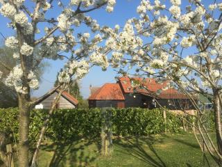 Puttocks Farm - Great Dunmow - 8