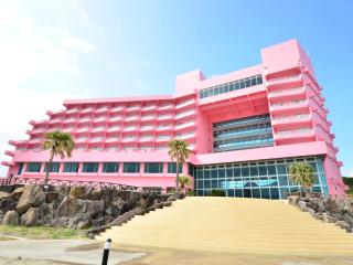 Tanegashima Iwasaki Hotel - Minamitane - 1