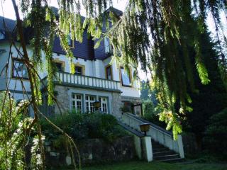 Ferienhotel Waldfrieden - Bad Sachsa - 4