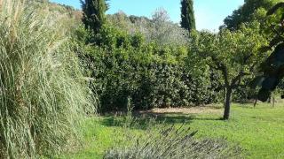 Casa Bella Vista Trevignano Romano - Trevignano Romano - 8