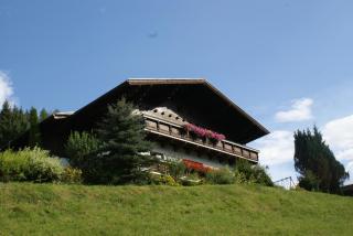 Pension Chalet Bergseegut - Wagrain - 8