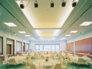 Yakushima Iwasaki Hotel - Yakushima - 8