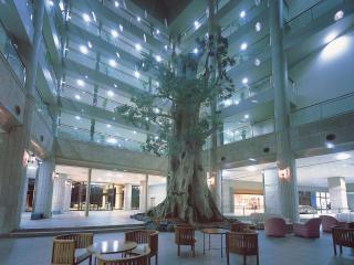 Yakushima Iwasaki Hotel - Yakushima - 4