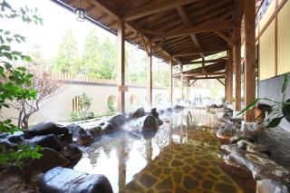 Aso Resort Grandvrio Hotel - Aso - 8