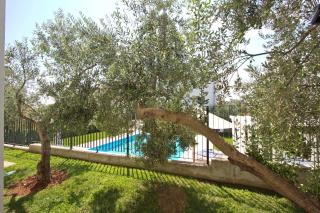 Divine Dalmatia Apartments - Tribunj - 3