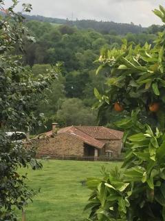 Casa Torres - Cruces - 6