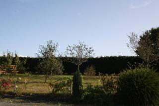 Le Charleston - Huisnes-sur-Mer - 3