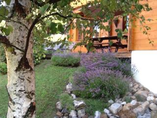 chalets-aravis - La Clusaz - 7